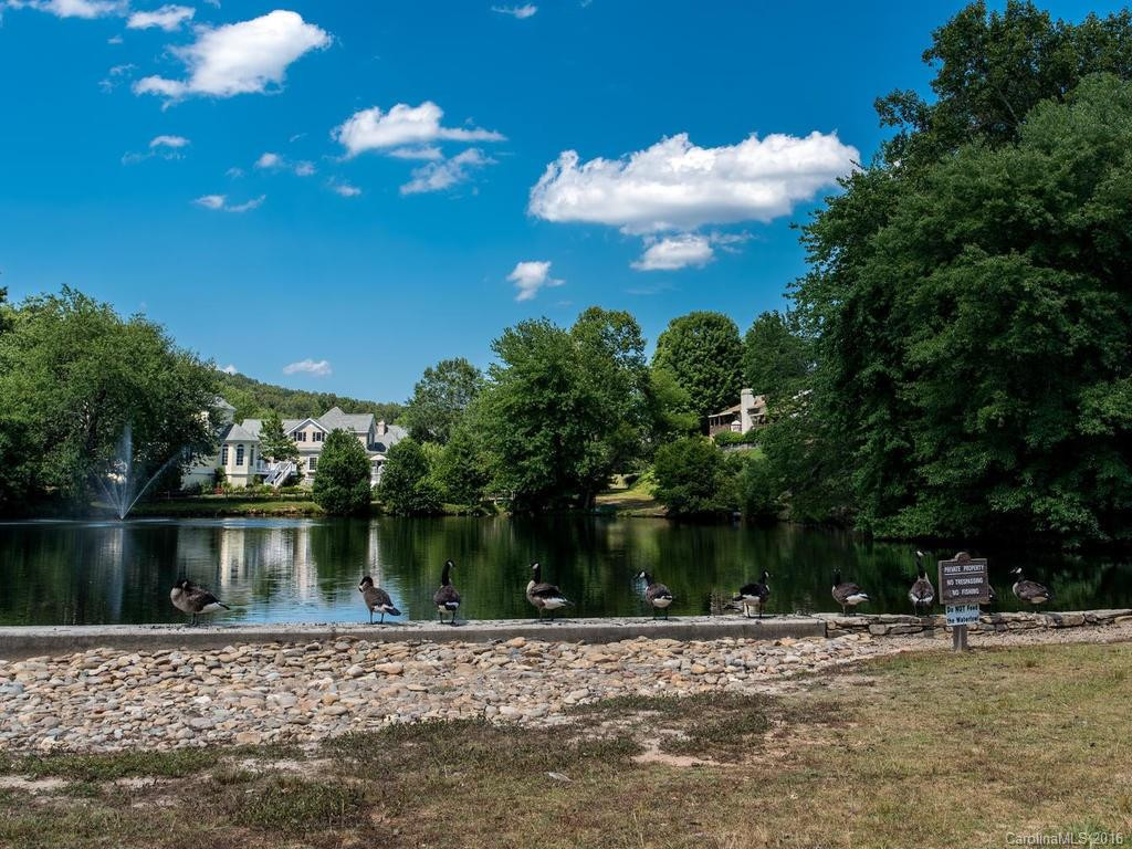 111 Deerlake Drive #111 - Photo 23
