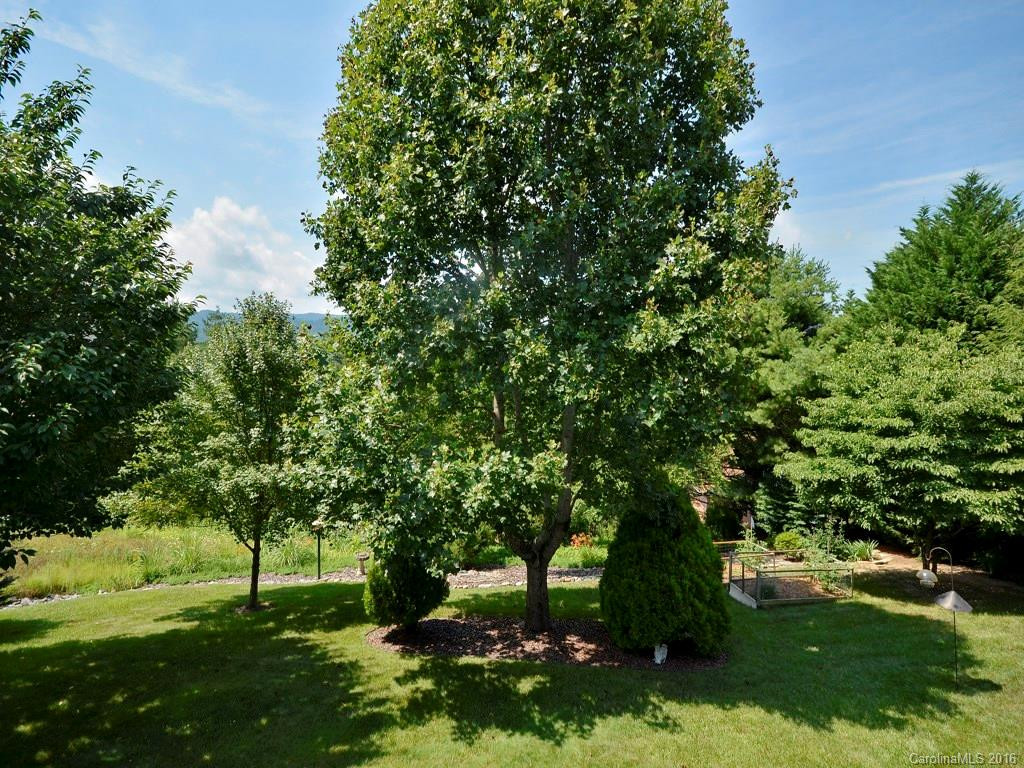 188 Mountain Valley Drive - Photo 10