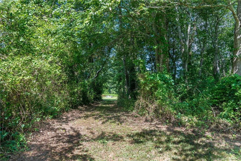 111 Brierbrook Road - Photo 16
