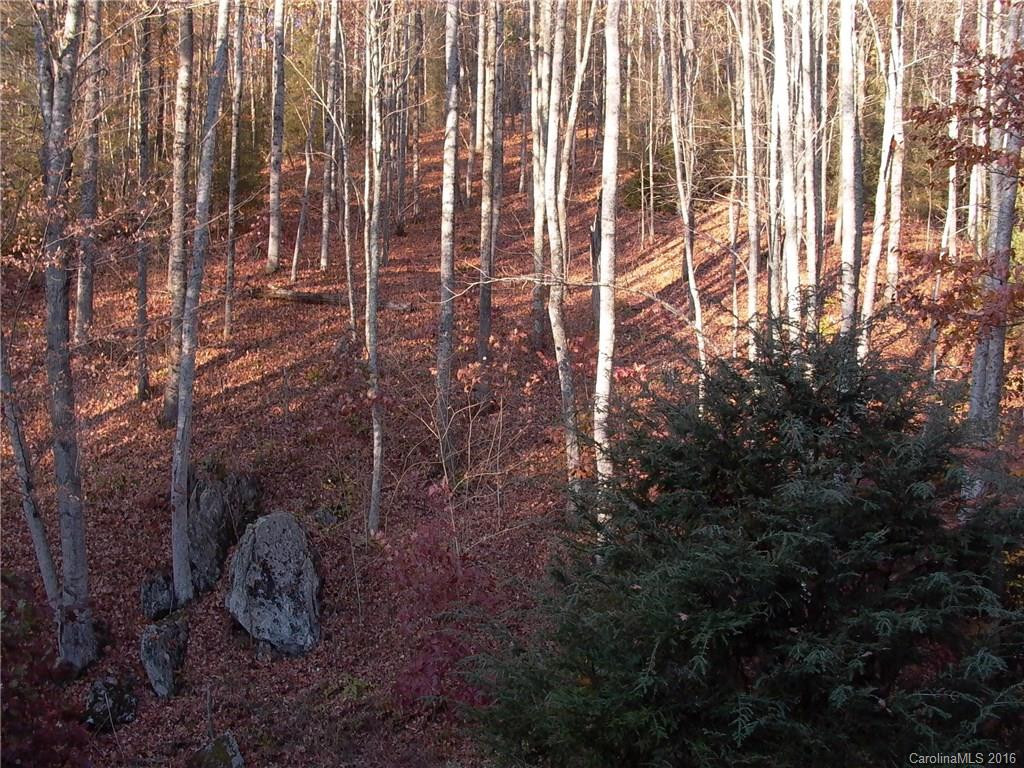 101 Fox Run - Photo 21
