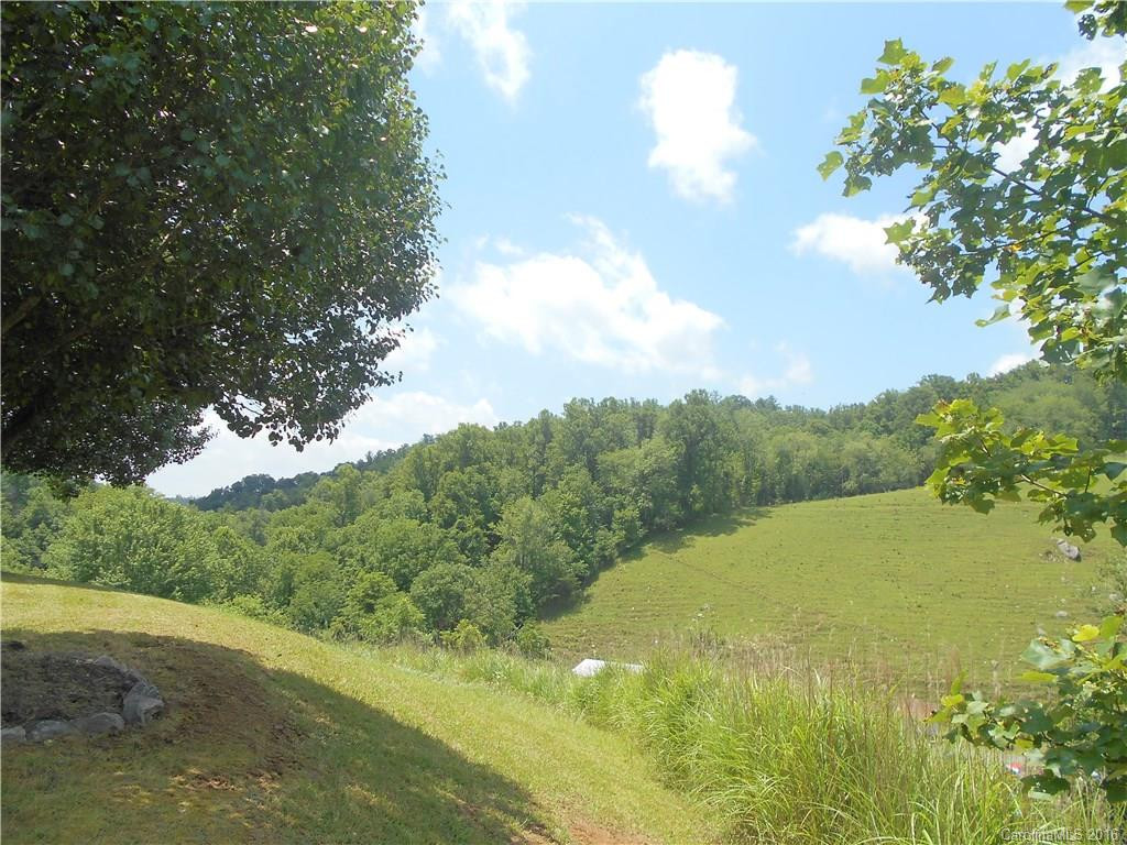 1040 East Fork Road - Photo 2