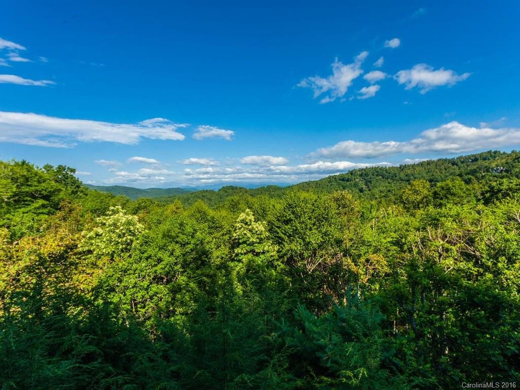 20 Wild Ivy Run - Photo 18