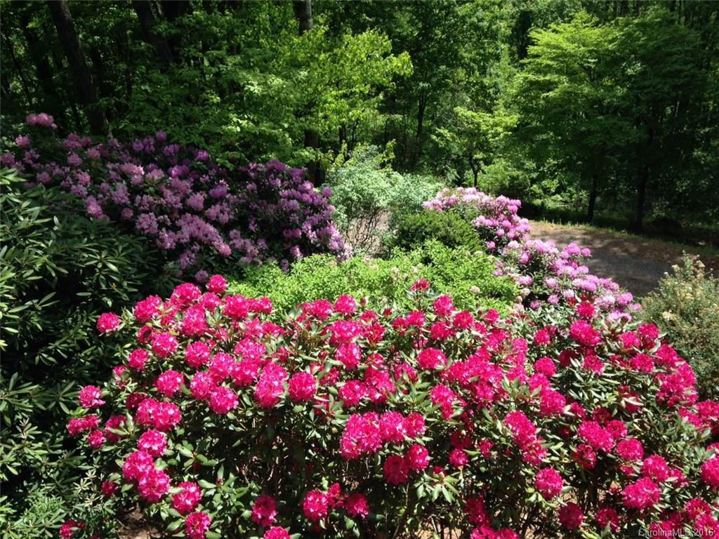 100 Jenny Rae Lane - Photo 23