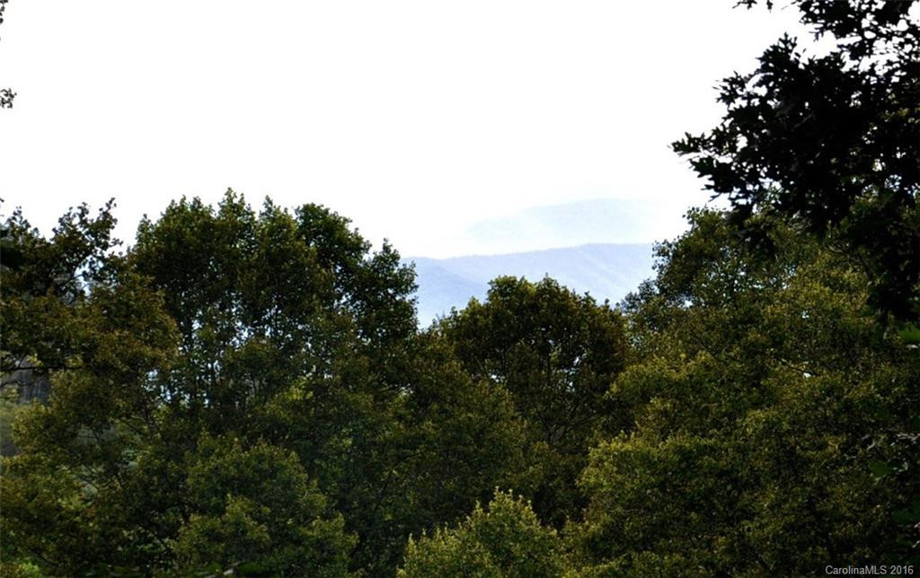 60 Scenic View Drive - Photo 16