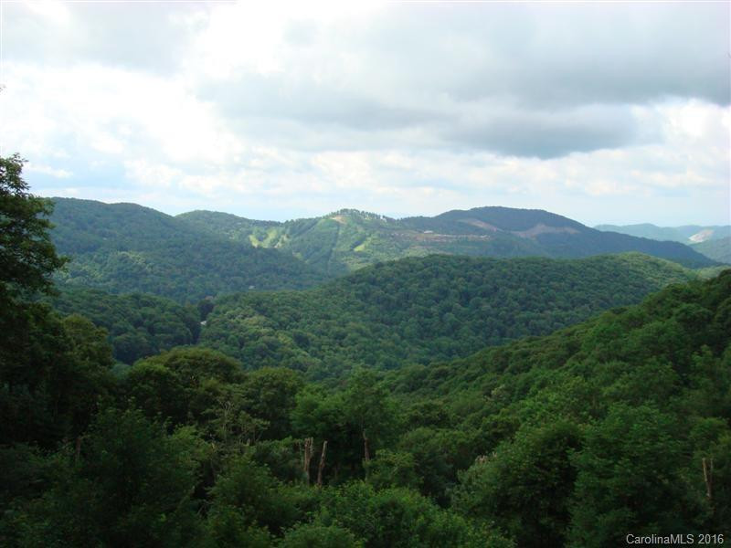 569 Pisgah Pass - Photo 15