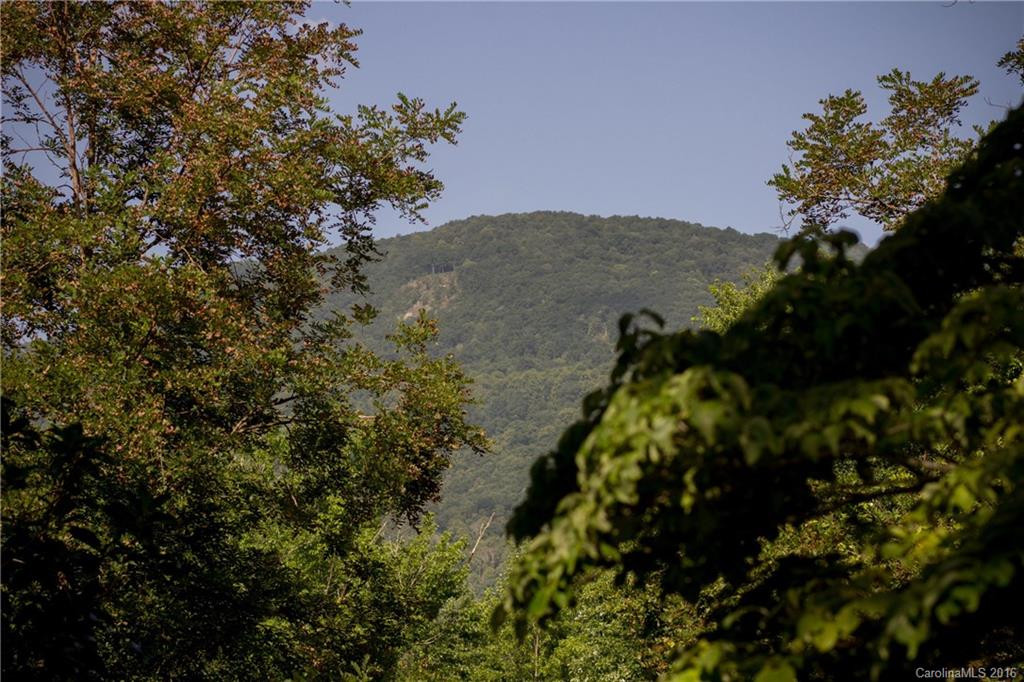 10 Hookers Gap Road - Photo 2