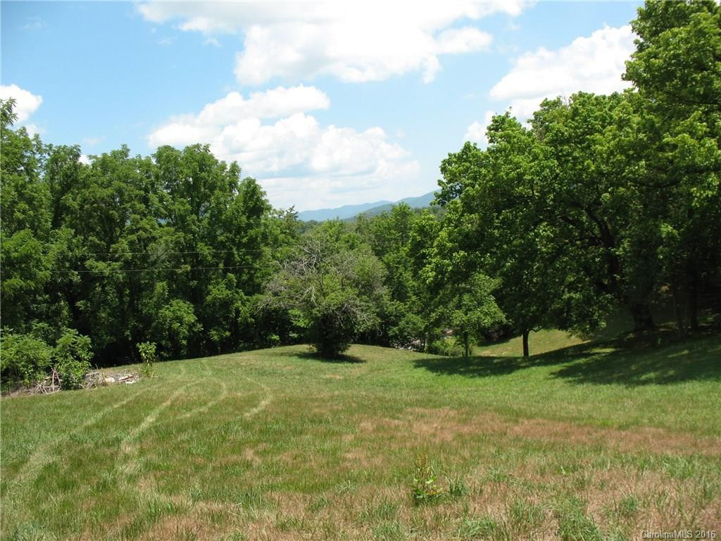 340 Upper Grassy Branch Road - Photo 8