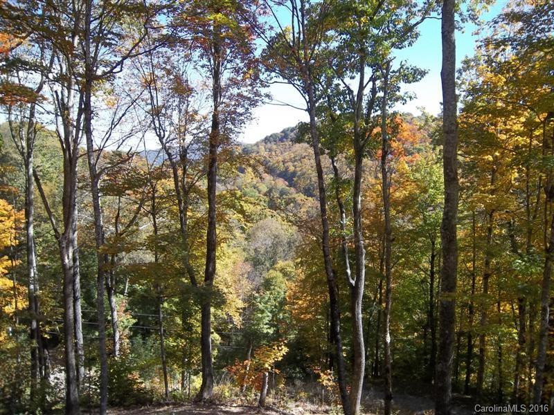 641 Bee Tree Lane - Photo 23