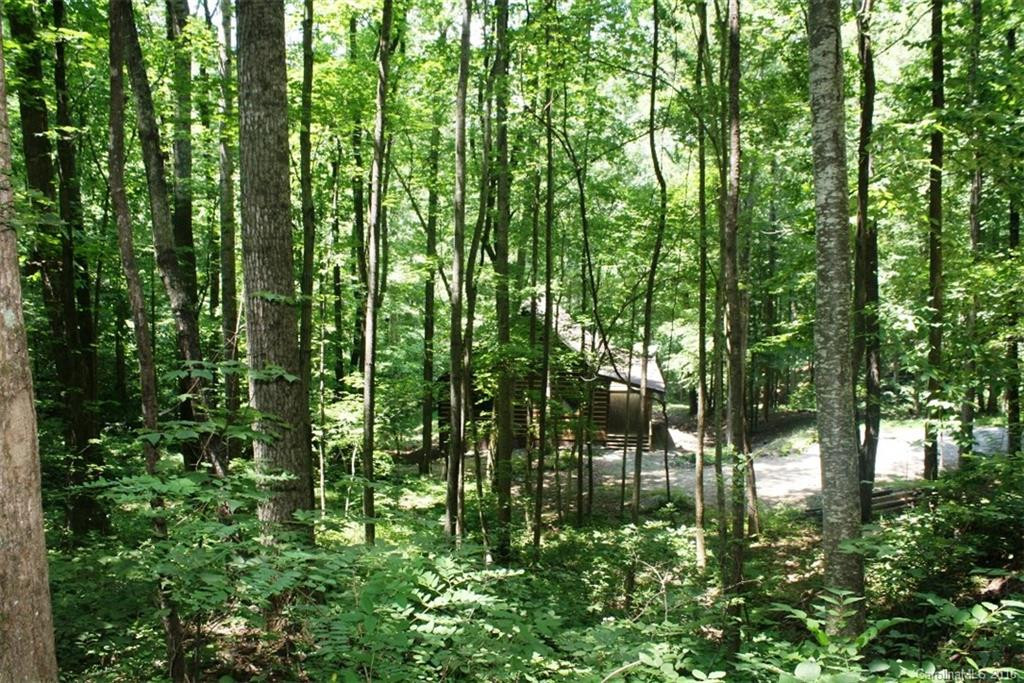 13 Miller Mountain Road - Photo 17