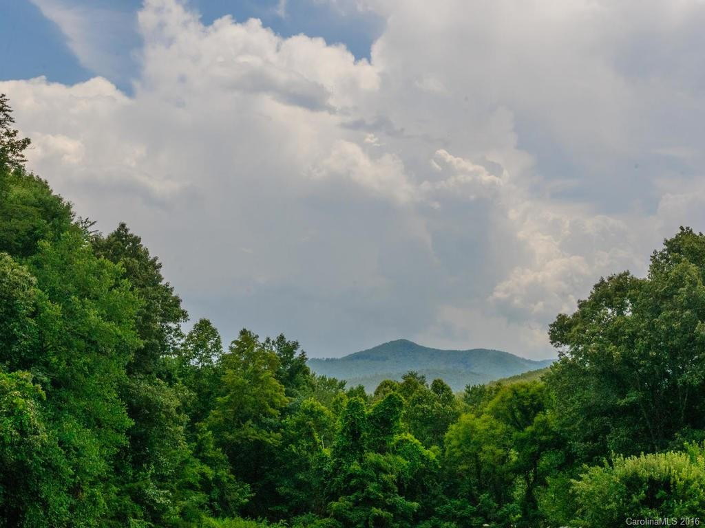 112 Asvista Drive - Photo 23