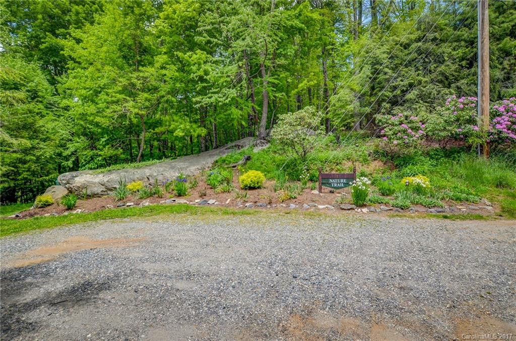 36 Goldenleaf Road - Photo 18
