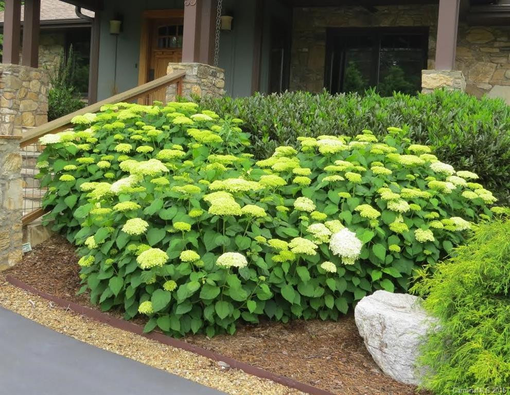 53 Inglewood Road - Photo 24