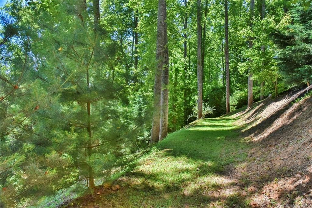 411 Canonero Drive - Photo 22