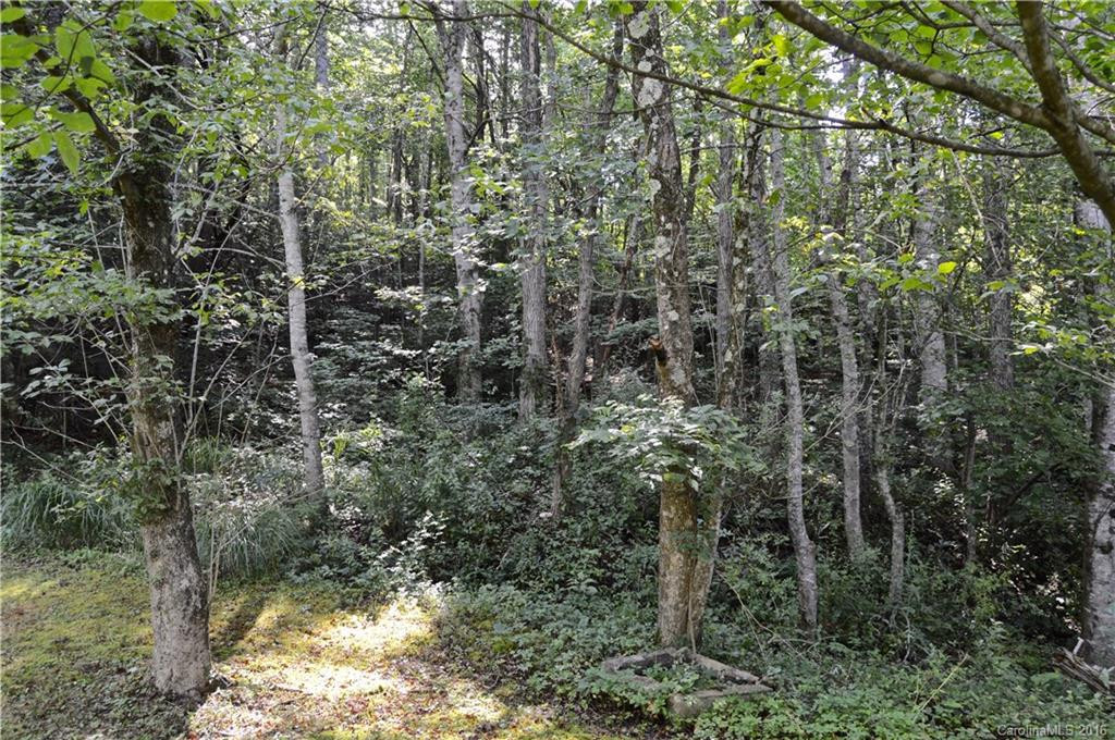 161 and 163 Walker Cove Road - Photo 11