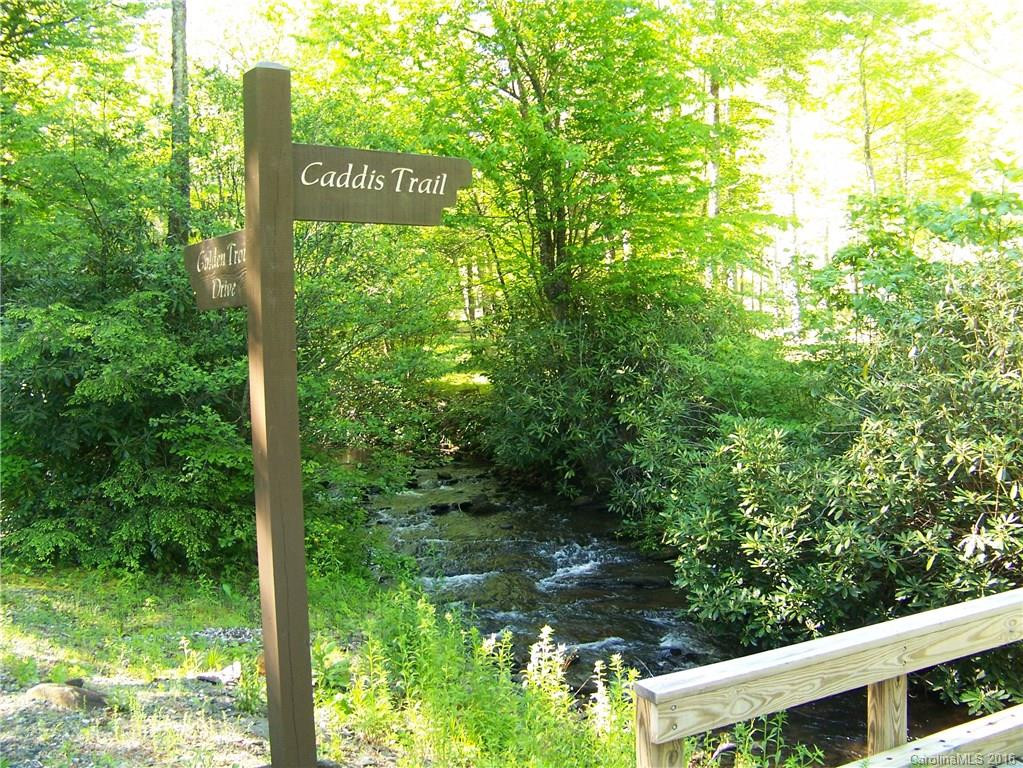 123 Caddis Trail #123 - Photo 2