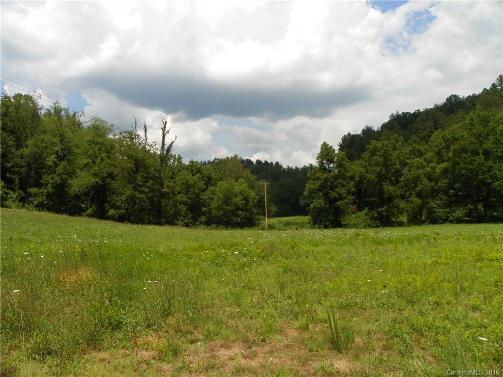 45 Sandy Mush Creek Road - Photo 13