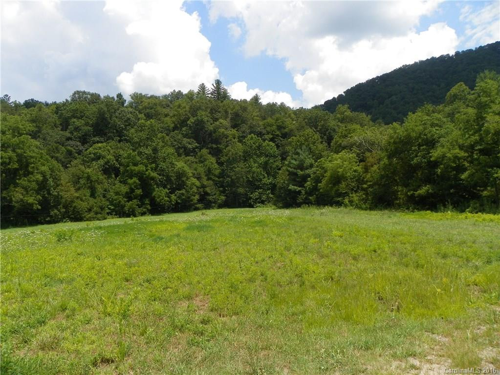 45 Sandy Mush Creek Road - Photo 14