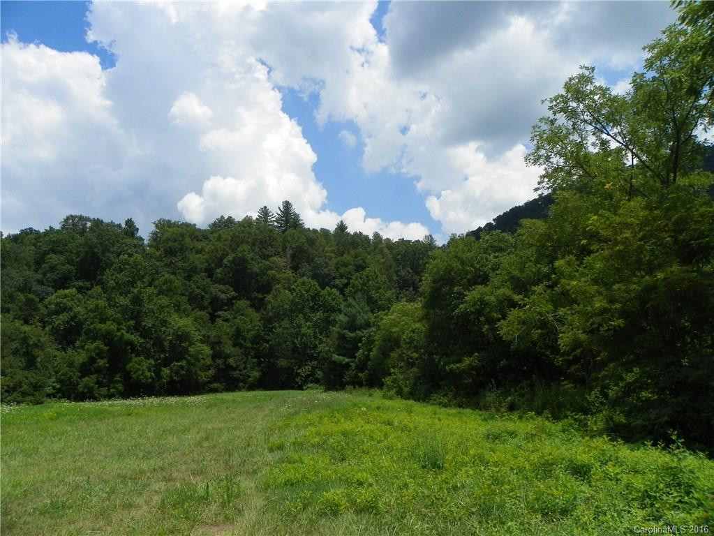 45 Sandy Mush Creek Road - Photo 15