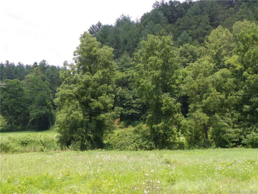 45 Sandy Mush Creek Road - Photo 16