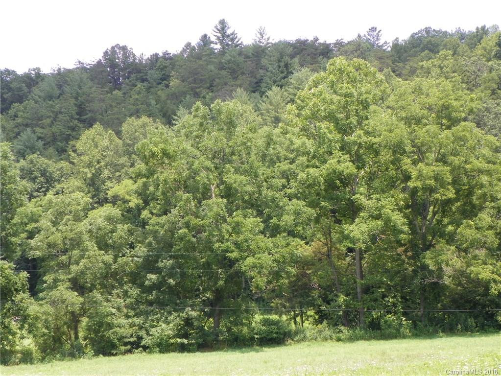 45 Sandy Mush Creek Road - Photo 17