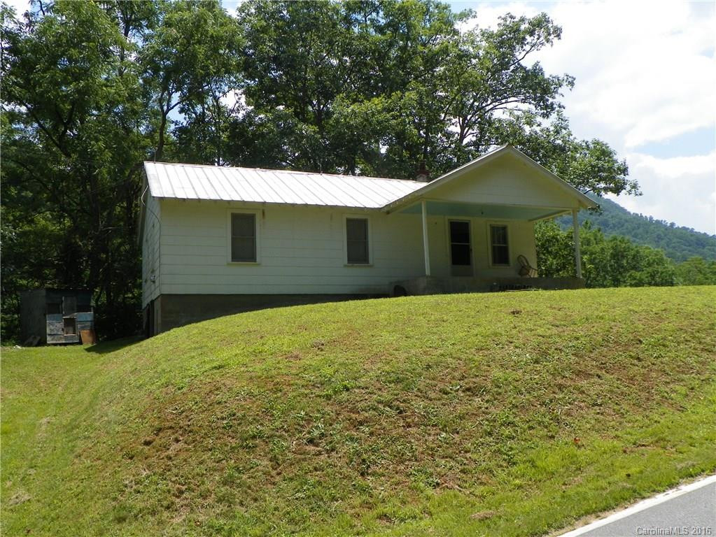 45 Sandy Mush Creek Road - Photo 3