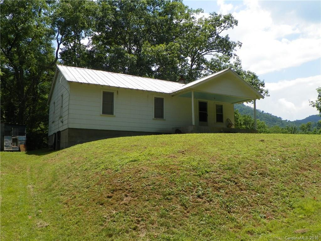 45 Sandy Mush Creek Road - Photo 4