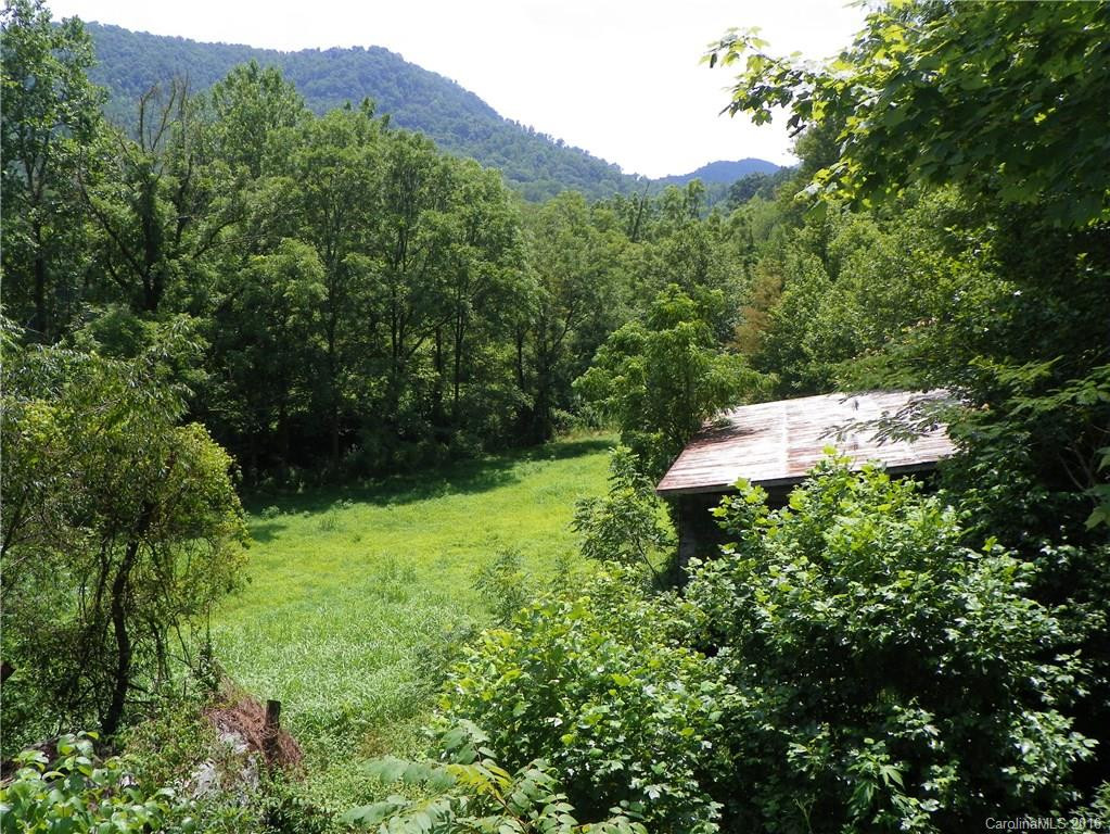 45 Sandy Mush Creek Road - Photo 7
