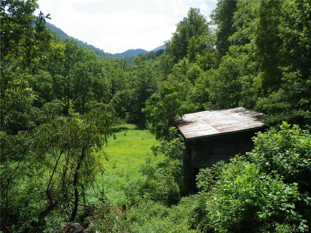 45 Sandy Mush Creek Road - Photo 8