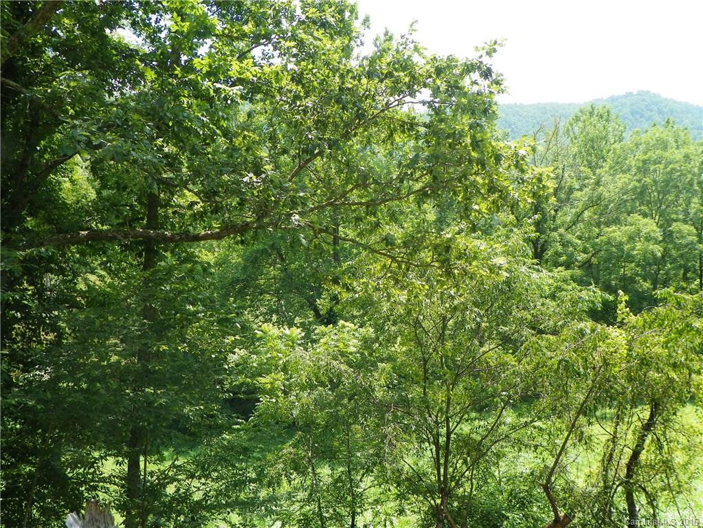 45 Sandy Mush Creek Road - Photo 9