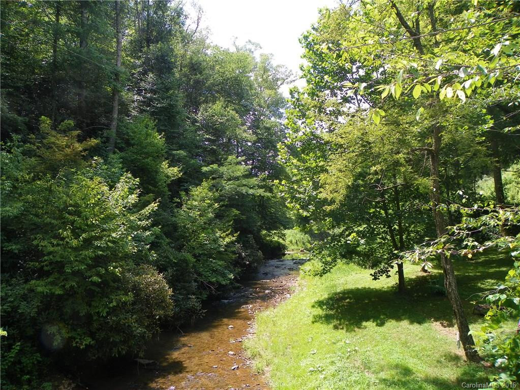 45 Sandy Mush Creek Road - Photo 10