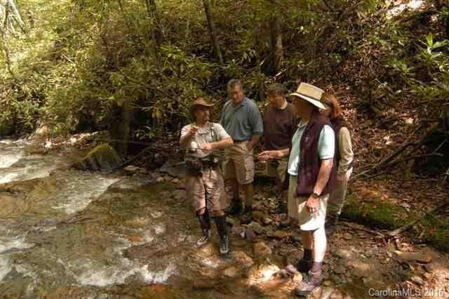 139 Boarding House Way #Share #6 - Photo 18