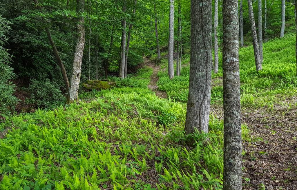 89 Wild Iris Road - Photo 23