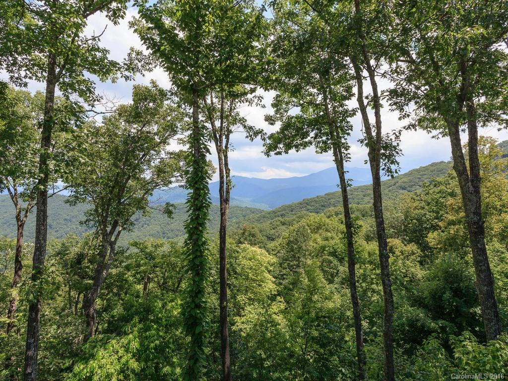 121 Stoney Falls Loop #E-1 - Photo 23