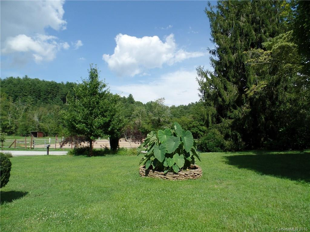 49 Lusitano Drive - Photo 8