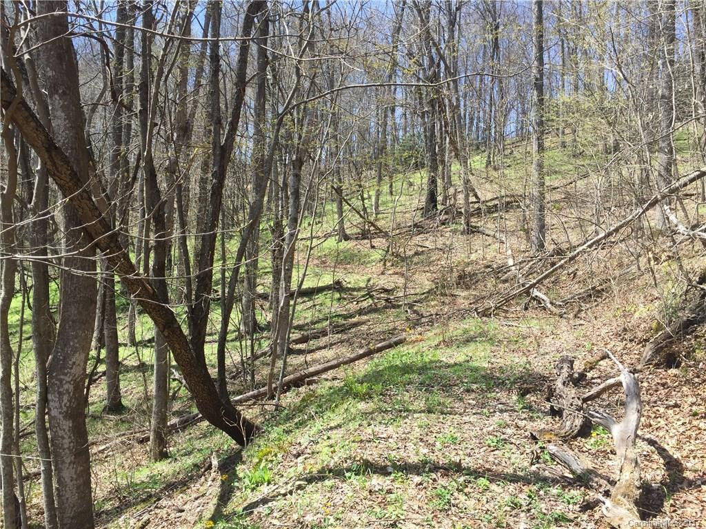 64 Stonegate Trail - Photo 11