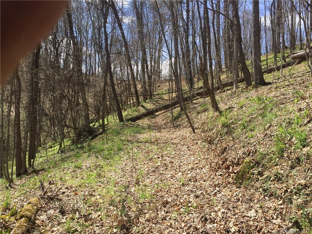 64 Stonegate Trail - Photo 13