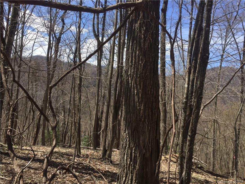 64 Stonegate Trail - Photo 14