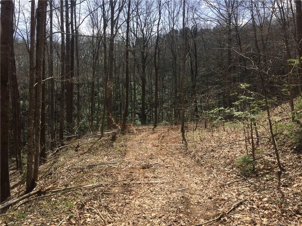 64 Stonegate Trail - Photo 10