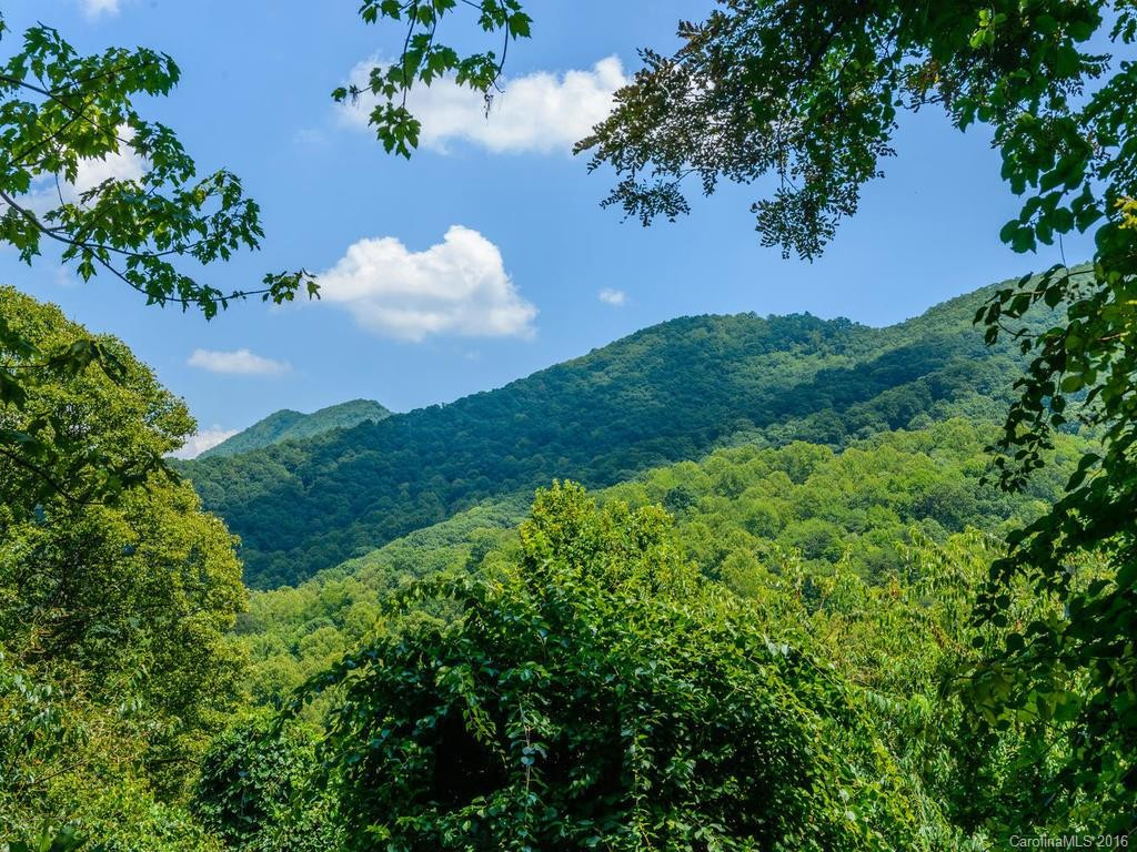 1792 Newfound Road - Photo 21