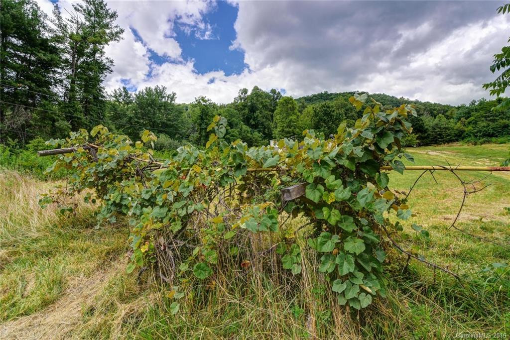 547 School Road - Photo 21
