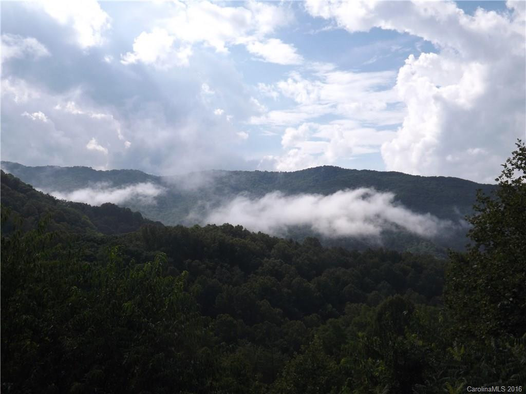 432 Appaloosa Trail #10 - Photo 3