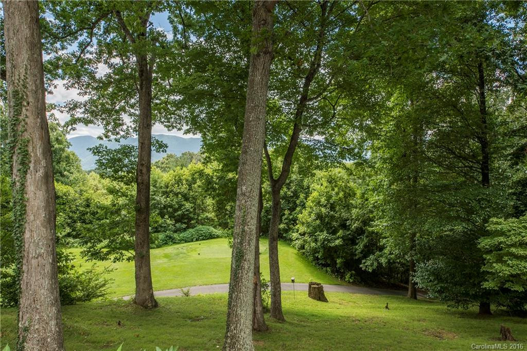 466 Laurel Ridge Drive - Photo 5