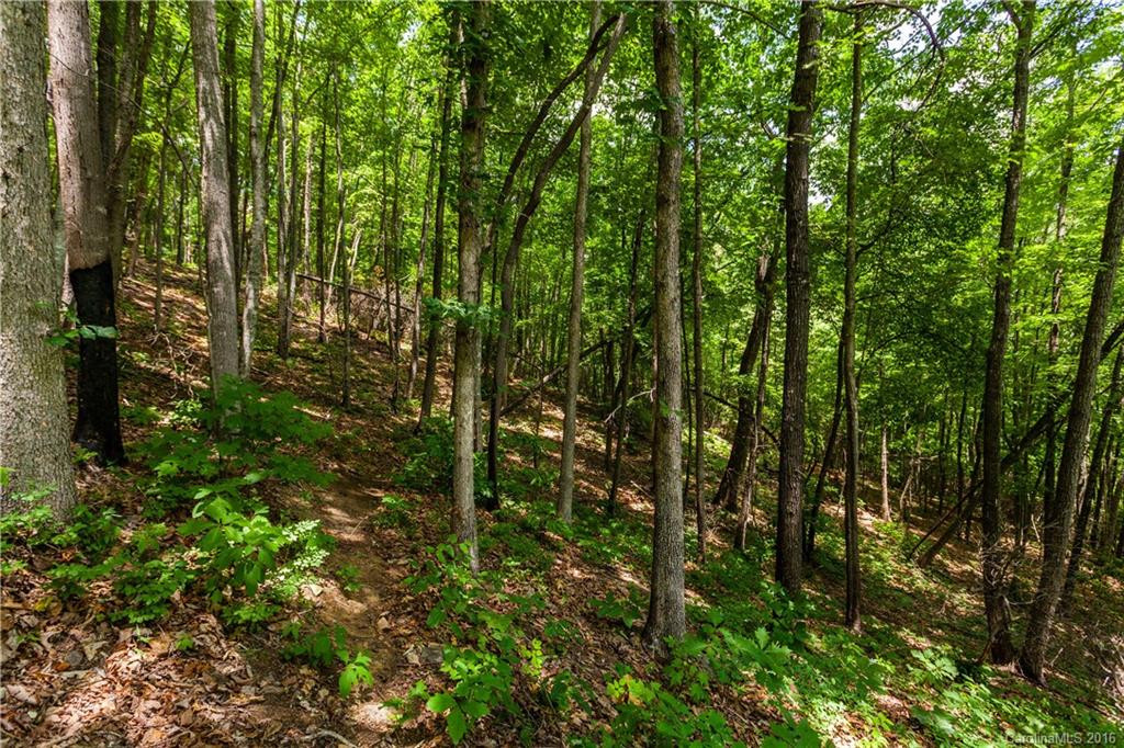 58 Dry Spring Road - Photo 15