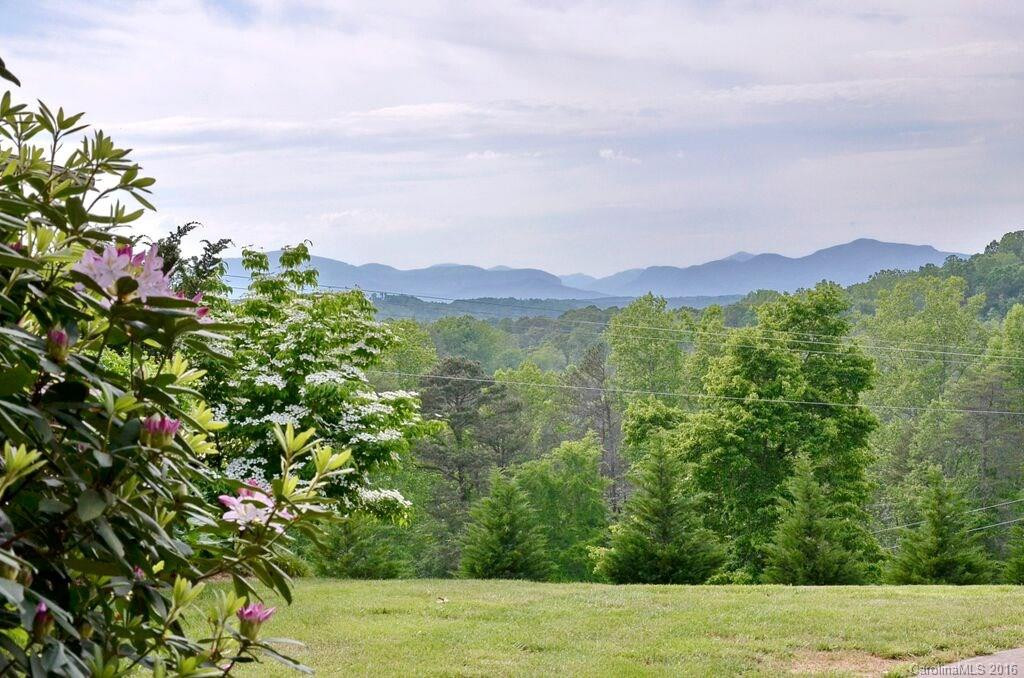 481 Pleasant Hill Road - Photo 3