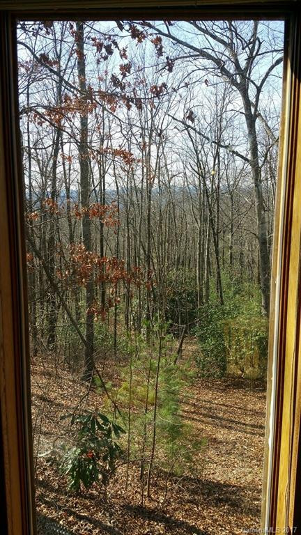 188 Panther Gap Road #L21-R - Photo 18