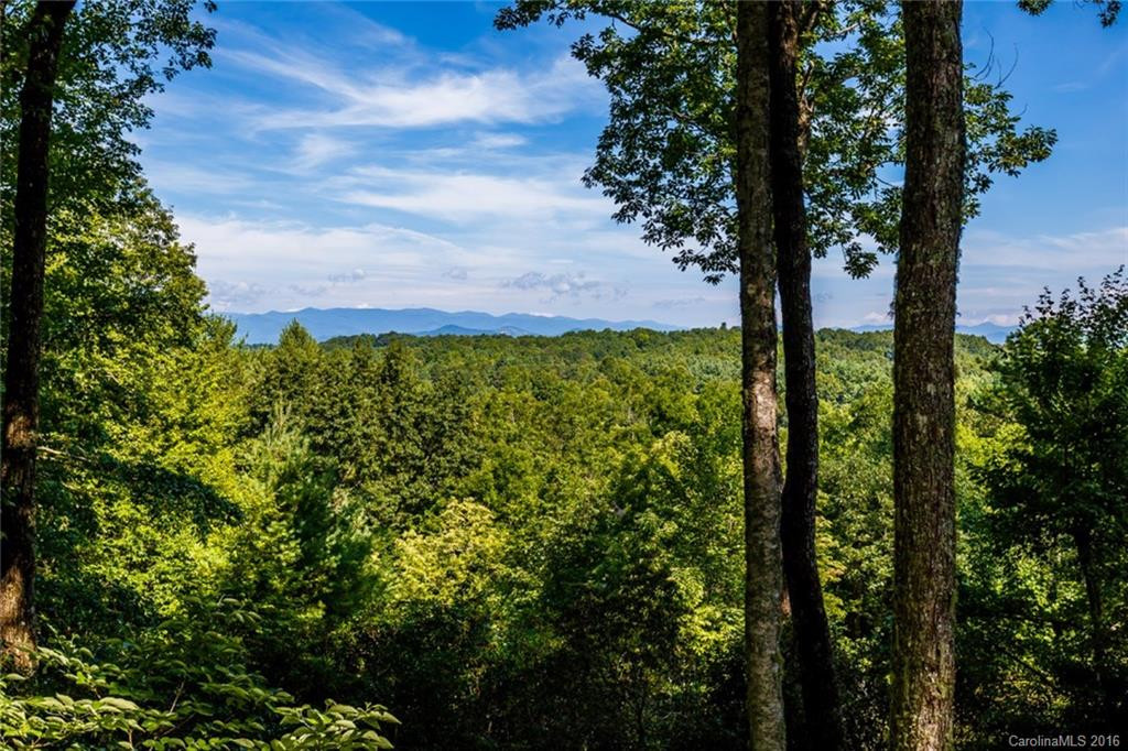4415 Connestee Trail - Photo 2