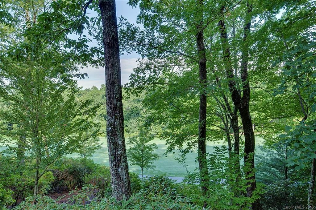 239 Round Top Mountain Road #47/ER - Photo 21