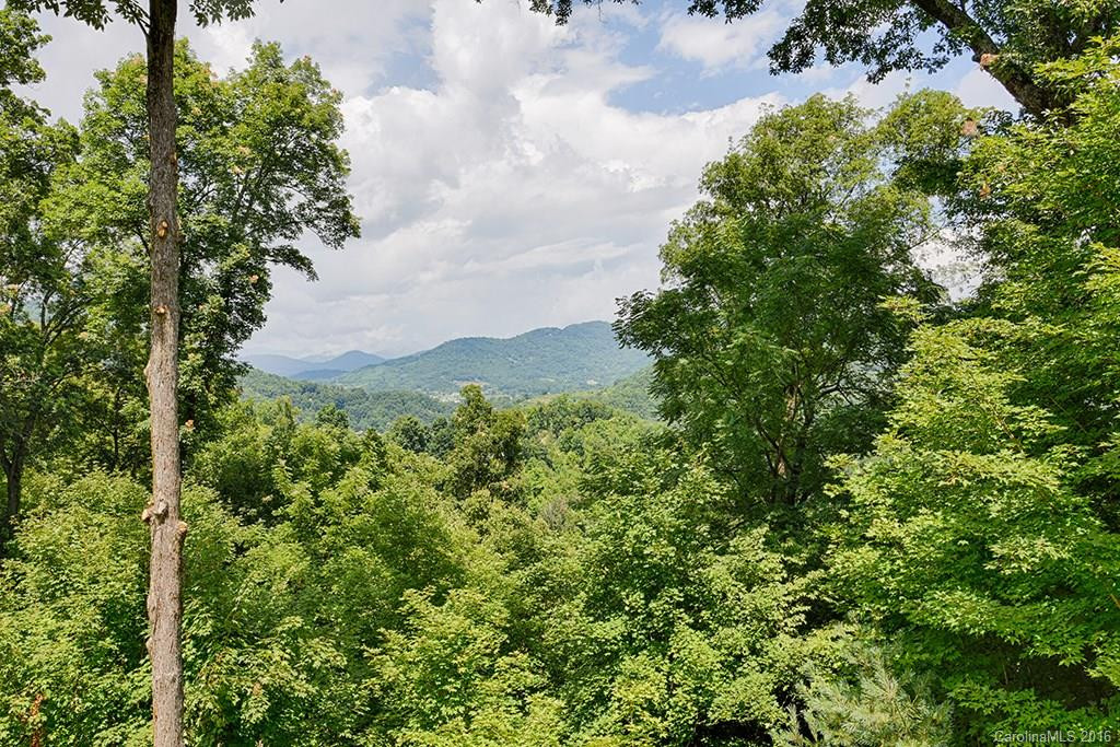 84 Tuxedo Ridge - Photo 6