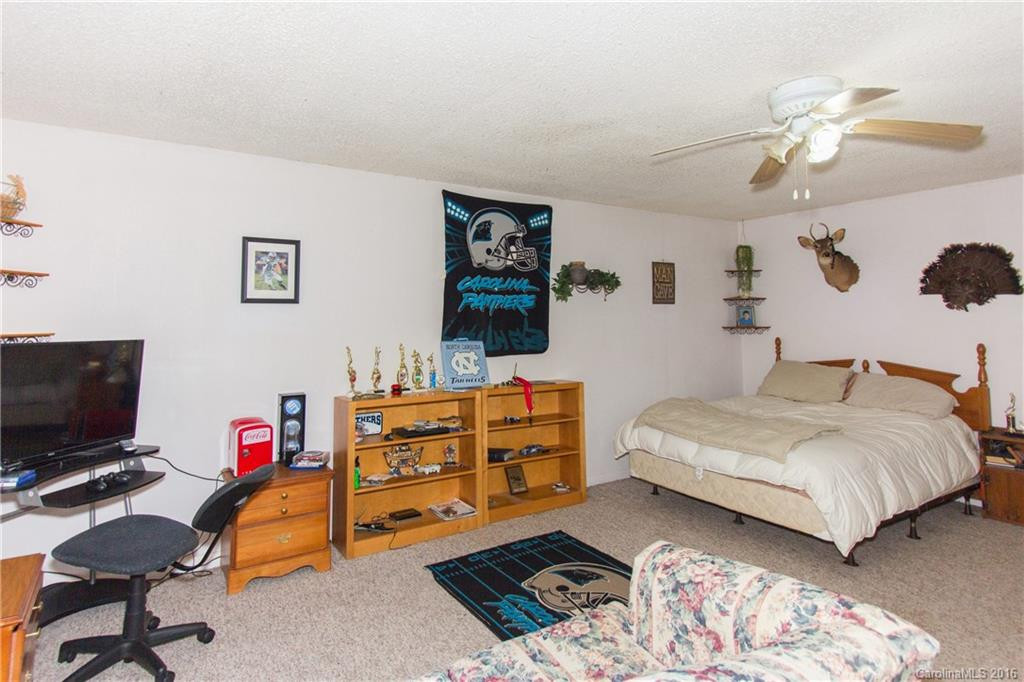 332 Lower Grassy Branch Road - Photo 16