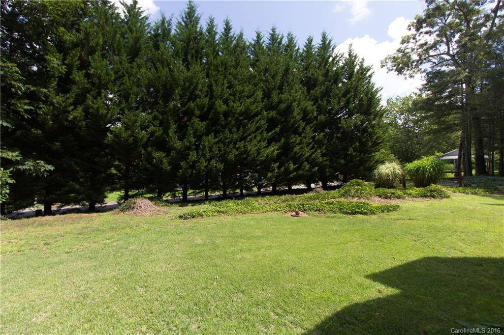 332 Lower Grassy Branch Road - Photo 21